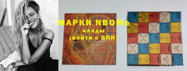 мдпв Вяземский