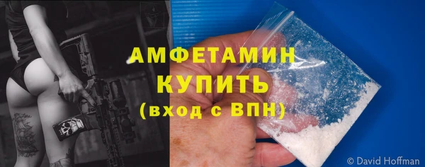 мдпв Вяземский
