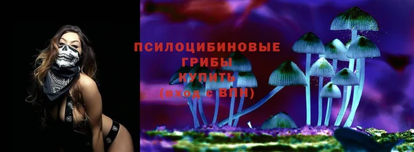 мдпв Вяземский