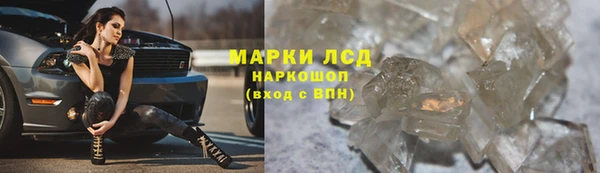 мдпв Вяземский