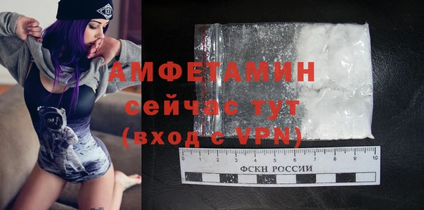 мдпв Вяземский
