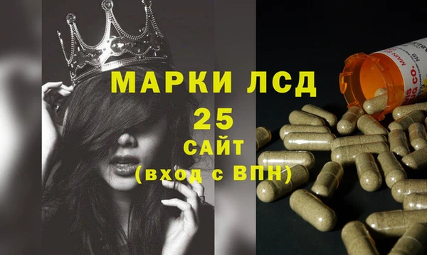мдпв Вяземский