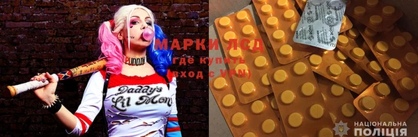 мдпв Вяземский