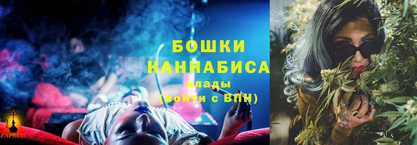 мдпв Вяземский