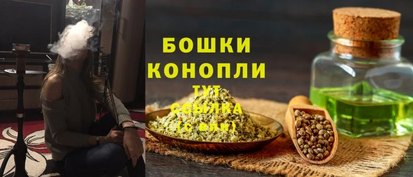 мдпв Вяземский