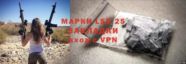 мдпв Вяземский