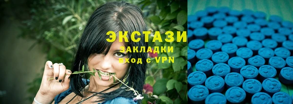 мдпв Вяземский