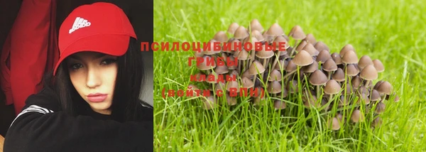 ALPHA-PVP Вязники